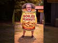 I Am A Can Of Boiled Peanuts