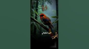 دعاء مستجاب#إسمع و لن تندم#الدال على الخير كفاعله#عبق#التلاوات