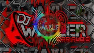 ¡QUE PASO TE ASUSTASTE! || DOBLE TONO || DJ WAYLER CAR AUDIO