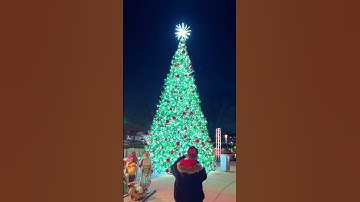 Thumbnail of christmas tree lighting countdown