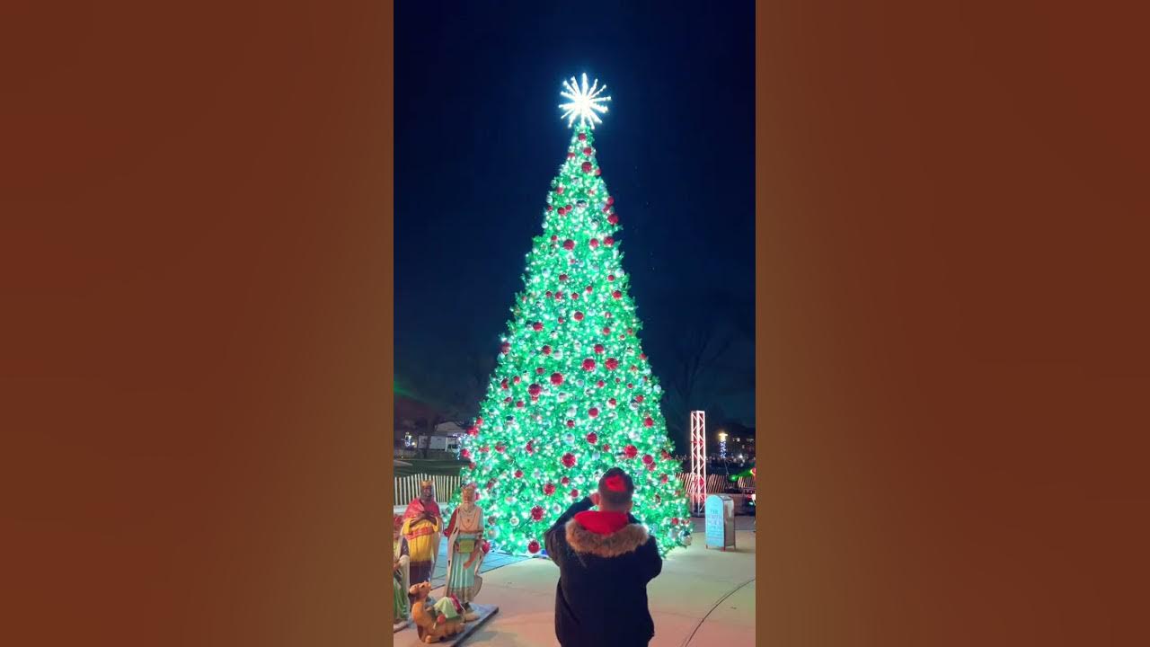 christmas tree lighting countdown
