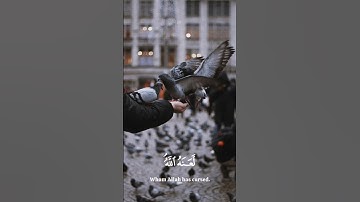 وما يعدهم الشيطان الا غرور | ياسر الدوسري سورة النساء