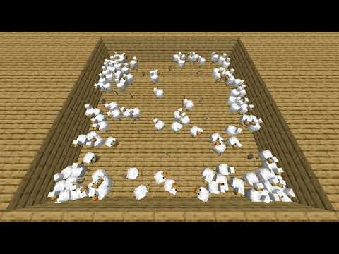 The Chicken Code 2438
