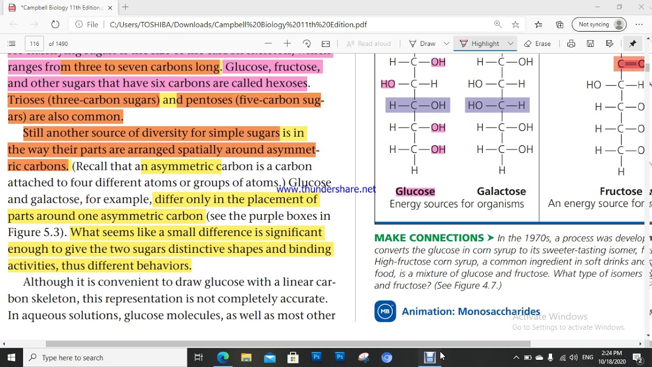 Chapter 5 : Macromolecules 2, Carbohydrates