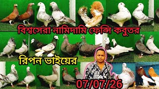 রিপন ভাইয়ের বিশ্বসেরা নামিদামি ফেন্সি কবুতর কিনুন। 