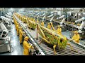 Inside a Crispy Grasshopper Farm: How They Make the Perfect Crunch (Full Process)