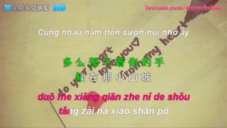 Video thumbnail of "Tiểu Bảo Bối   小宝贝   Xiao Bao Bei  Pinyin + Vietsub"