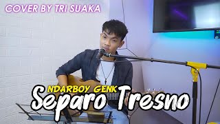 Download lagu Separo Tresno - Ndarboy Genk  Lirik  Cover By Tri Suaka mp3