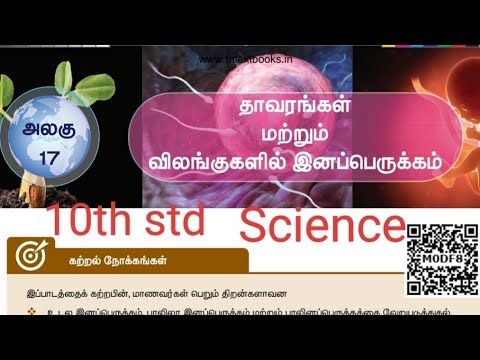 17., தாவரங்கள் மற்றும் விலங்குகளின் இனப்பெருக்கம்(book back exercise)/வகுப்பு-10/அறிவியல்