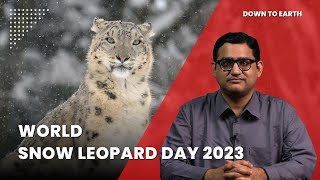 World Snow Leopard Day 2023: Is it time for a mascot for the Third Pole conservation efforts?