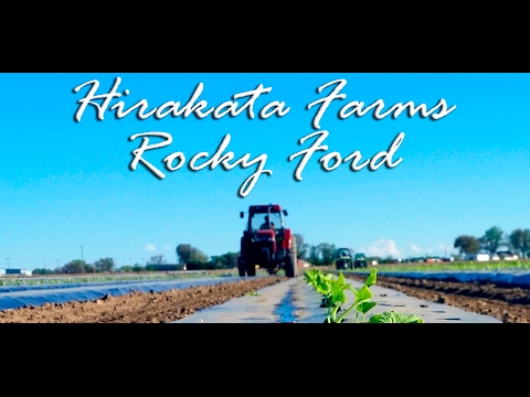 Hirakata Farms, Rocky Ford Official video by Lex Nichols