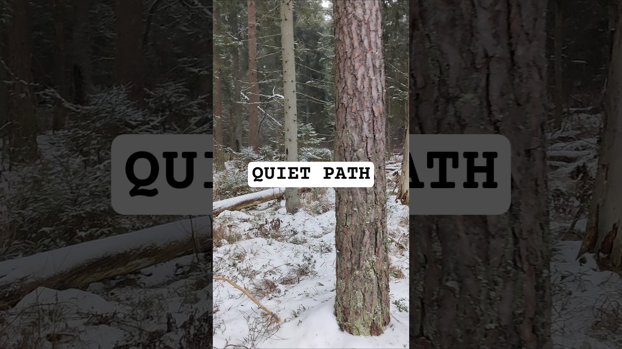 Cold air. Snow. Slow steps. #nature #quiet