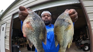 SHOCKING SIZE SHELLCRACKERS & BLUEGILLS 'CLEAN & COOK'