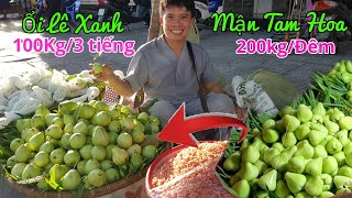 Anh trai Miền Tây dễ thương bán Mận Tam Hoa BẤT NGỜ bán thêm Ổi Lê xanh Mini hơn 100Kg trong 3 giờ