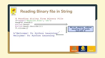 Python Programming - Binary File Handling