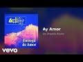 Los Ángeles Azules - Ay Amor (Audio)