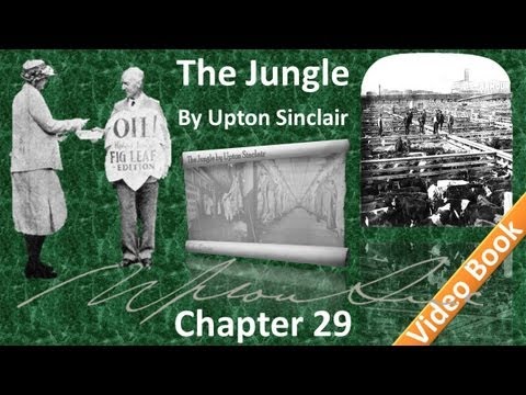 Chapter 29 - The Jungle by Upton Sinclair