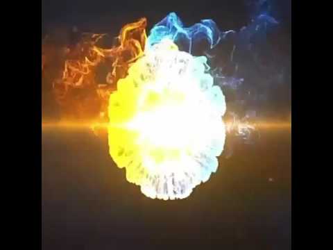 ديرب نجم شرقية 01019290014 01111037074 01288699388