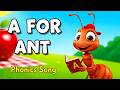 ABC Phonics Song For Toddlers | ABC Song Nursery Rhymes