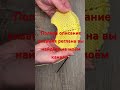 Очередная находка !