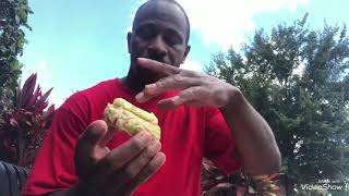 Krispy Kreme Lemonade Glaze Donuts Taste Test