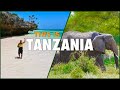 Tanzania  zanzibar ultimate travel guide to paradise island  safari