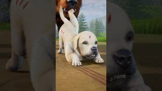 😭Resilient Pup🐾 Faces Off Against Mighty Bear💪 #wolfgame #shorts screenshot 1