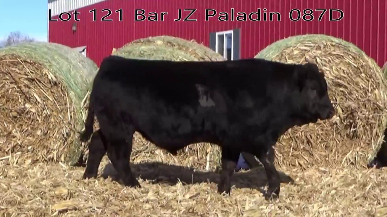 Lot 121 Bar JZ Paladin 087D