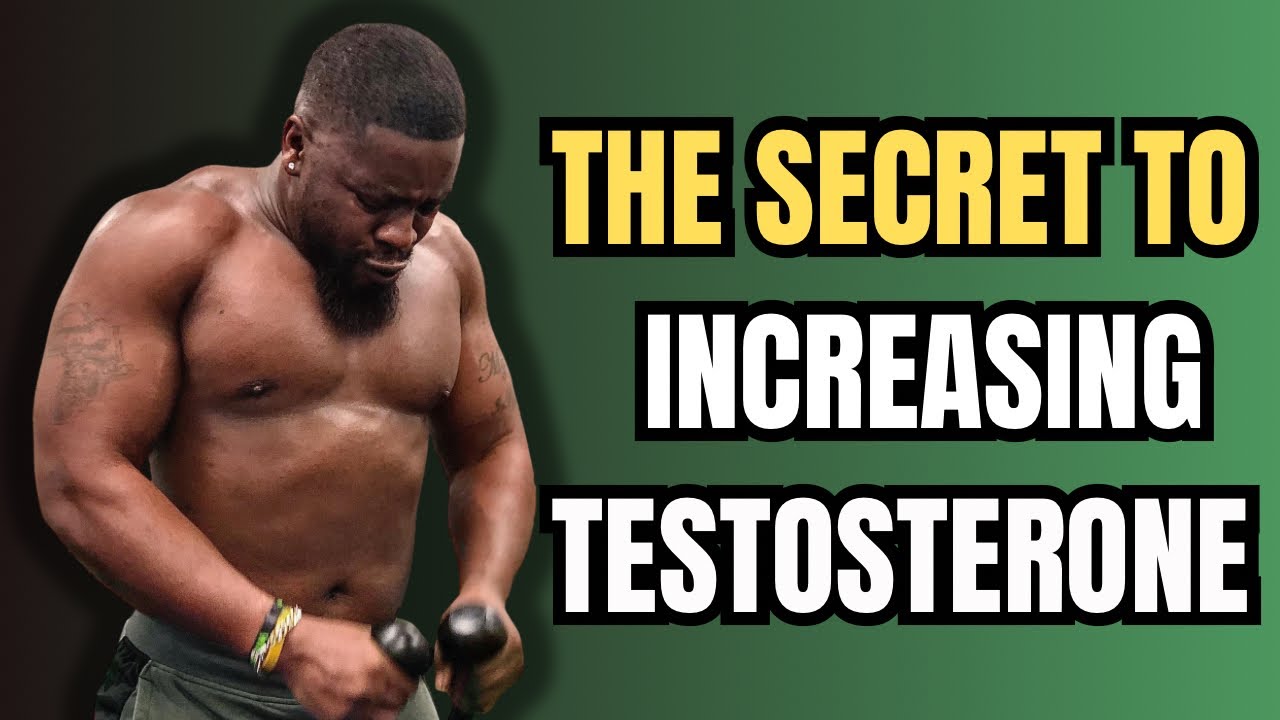 How To Increase Testosterone | 5 Proven Methods For Optimal ...