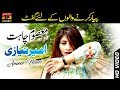 Satt rangi  ameer niazi  latest song 2017  latest punjabi and saraiki