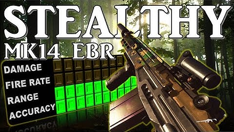 EBR-14 Warzone Loadout Stealth Setup (Call of Duty: Modern Warfare)