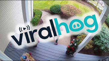 Morning Pep Talk Acknowledges Limits || ViralHog