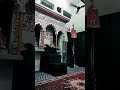 Masjidekufa ashura imamezamana karbala trend shadateali maulaali shorts viral youtubeshort