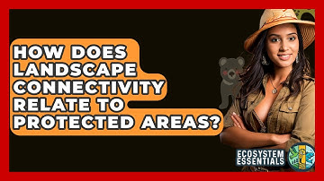 How Does Landscape Connectivity Relate To Protected Areas? - Ecosystem Essentials