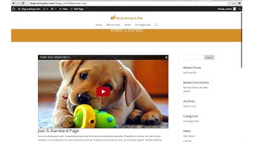 WordPress Tutorial Pt. 4: Pages, menus, posts and widgets