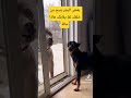 هنجمة على الفاضي هههههههههه