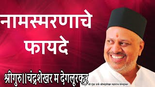 19 | माझे मनोरथ पावले जे सिद्धी|प्रवचनसेवा|श्रीगुरु चंद्रशेखर म देगलूरकर|CHANDRASHEKHAR M DEGLURKAR