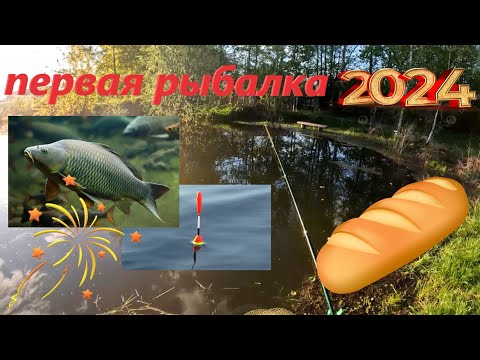 видео: Первый КАРАСЬ в мае 2024! Рыбалка на ПОПЛАВОК на ХЛЕБ на маленьком пруду!!!