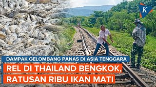 Dampak Gelombang Panas di Asia: Rel Kereta di Thailand Bengkok dan Puluhan Orang Tewas