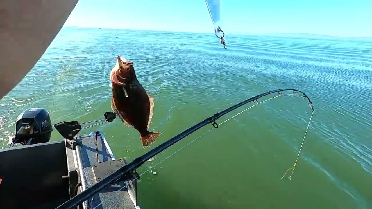 Halibut trolling sf bay Alameda rock wall YouTube
