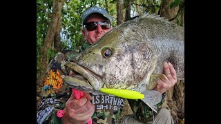 Big Lake Murray Black Bass Papua New Guinea