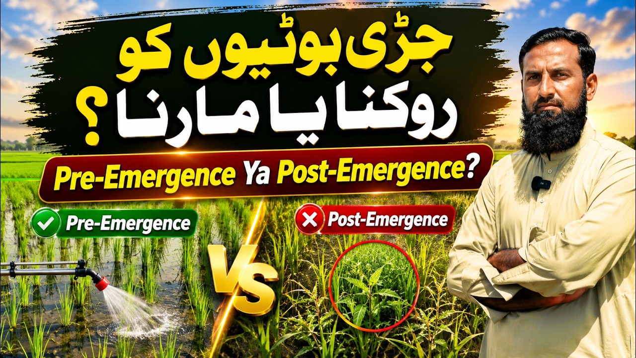 🔥1000% Profit Ka Formula Har Farmer Ko Pata Hona Chahiye | Yeh Idea kisan Ki Zindagi Badal Sakta Hai