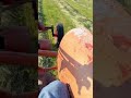 Raking hay with the 1954 Allis Chalmers WD45. A full video will be posted shortly. Need to edit.