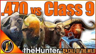 .470 Nitro vs ALL Class 9 Animals in theHunter Call of the Wild! 💥