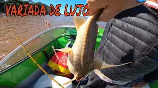 TREMENDA PESCA VARIADA EN ISLA DEL CERRITO (CHACO) Y PASO DE LA PATRIA (CORRIENTES)