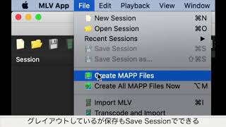 Magic Lantern マジックランタン RAW動画編集 MLV APP Fileメニュー