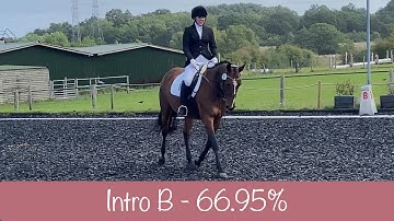 Unaffiliated BD Intro B Dressage Test - 66.95% - Winning Test in Section