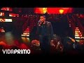 DON OMAR CANDELA HECHO EN PUERTO RICO mp3