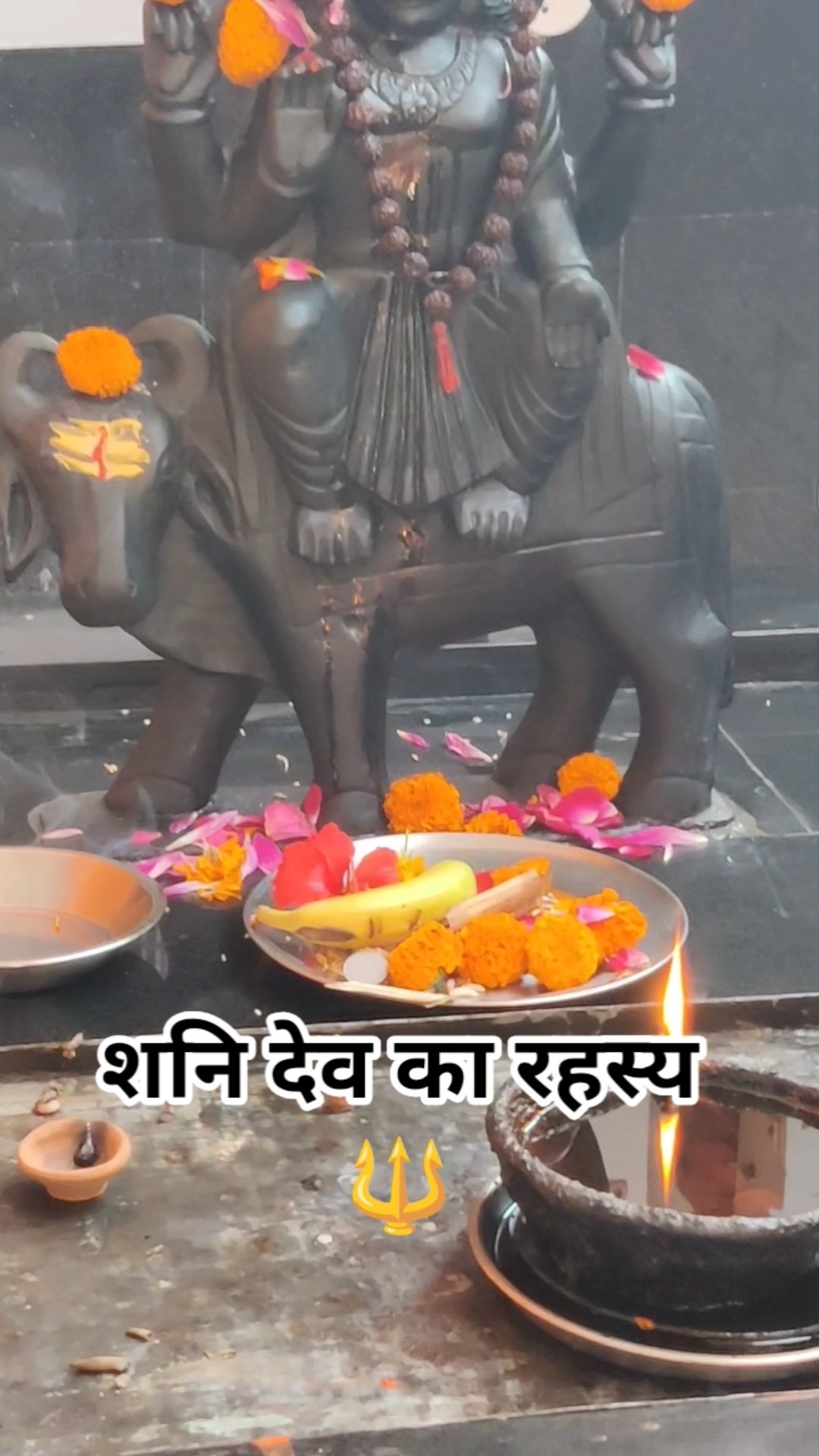 🌞 Good Morning🌞 - ShareChat