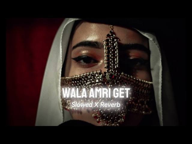 Wala Amri Get (Slowed & Reverb) | New Arabic Song | Arabic Remix 2024 | Dr Reverb class=